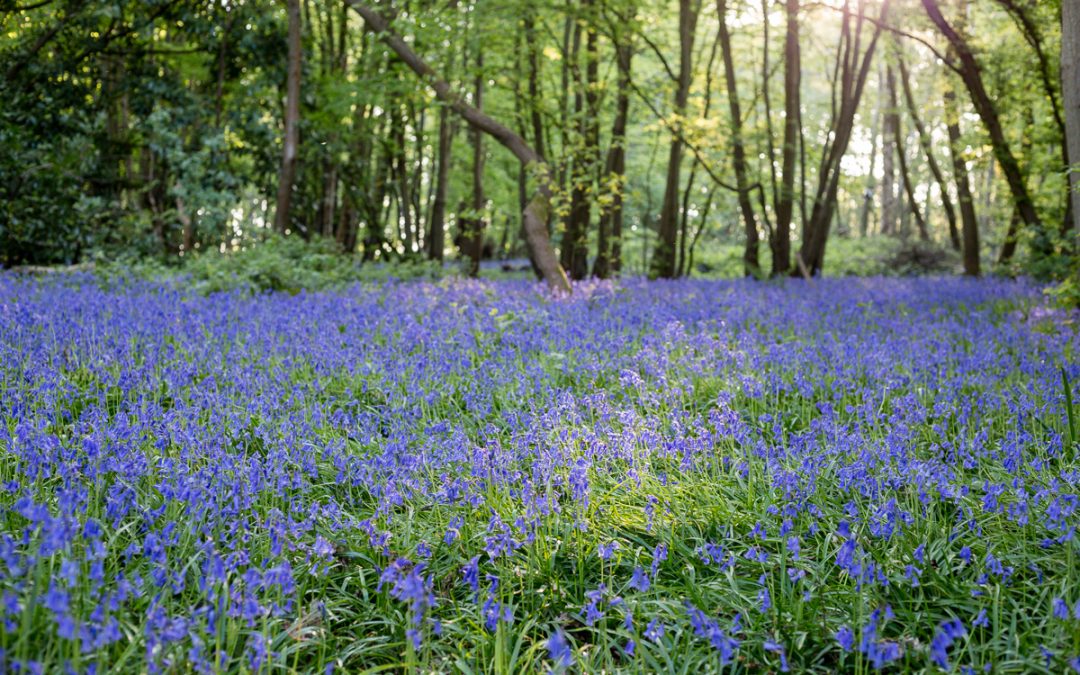 15 Ways to Encourage a Calm and Peaceful Mind